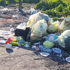 A Troianelli traliccio di alta tensione pericolante