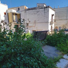 incuria e degrado per via Giannotti e piazza Toniolo