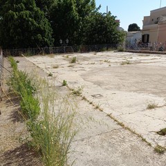 incuria e degrado per via Giannotti e piazza Toniolo