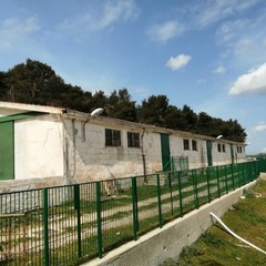 Murgia