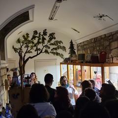 Notte dei Musei 2024