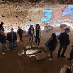 Notte dei Musei 2024