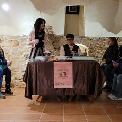 Notte dei Musei 2024