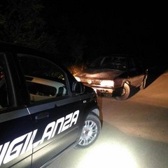 vigilanza giurata