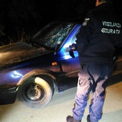 vigilanza giurata