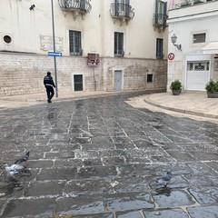 Furgone perde olio in piazza Catuma e ciclista cade fratturandosi un braccio