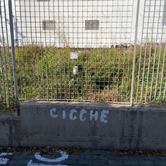 Anonimo cittadino ripulisce il ponticello di via Bisceglie