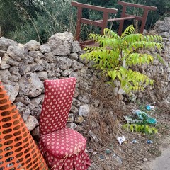 Giro di vite sull'abbandono dei rifiuti