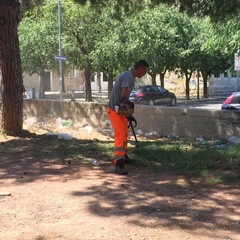 Ripulita la pineta della villa comunale: ma fino a quando sarà rispettata?