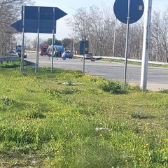 Tragedia sfiorata sull'Andria Corato: camion sfonda guard rail