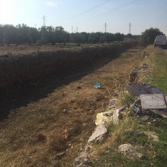 pulizia del tratto urbano del canalone Ciappetta Camaggio