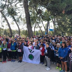 3^ edizione de "La Camminata tra gli olivi"