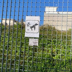 Anonimo cittadino ripulisce il ponticello di via Bisceglie
