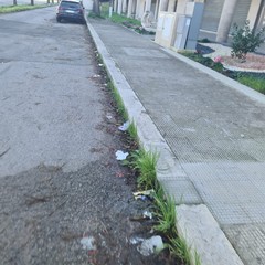Zona PIP invasa dai rifiuti delle attività della ristorazione