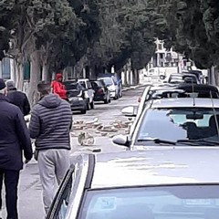 grosse pietre posizionate sul viale del Cimitero da extracomunitario