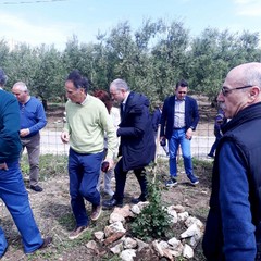 Giornata  della biodiversità