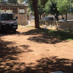 Ripulita la pineta della villa comunale: ma fino a quando sarà rispettata?