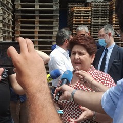 Gli olivicoltori incontrano il Ministro Teresa Bellanova
