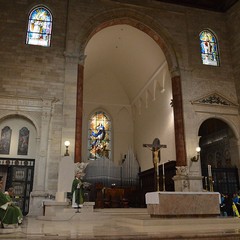 anni di misericordia andria febbraio visita Presidente Nazionale Giani