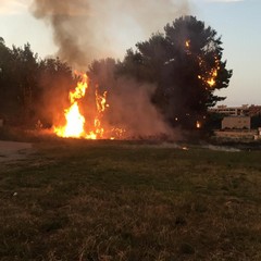 incendio lambisce la scuola elementare "Giuseppe Verdi" di Andria