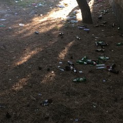 degrado ed abbandono per la pineta della villa comunale