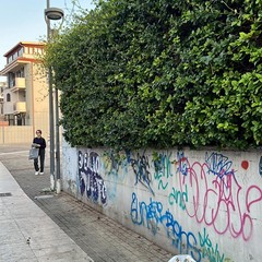 Giro di vite sull'abbandono dei rifiuti