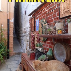 Stradina più stretta Andria