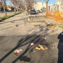 Zona PIP invasa dai rifiuti delle attività della ristorazione