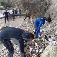 Il Centro Sub Andria e l'associazione Suppiamo ripuliscono alcune spiagge di Trani