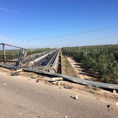 incidente stradale sulla provinciale Andria Bisceglie