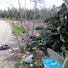Via Stazio zona Pip