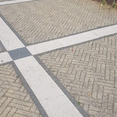Sanificato il parco urbano dedicato a Graziella Mansi