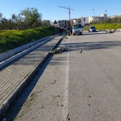 via Bisceglie-stazione di Andria Sud