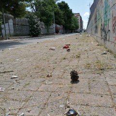 incuria e degrado in via Giotto