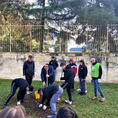 3place dona alberi alla scuola "Antonio Mariano" (Foto pagina Fb 3Place)