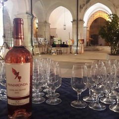 Le emozioni dell'assessore alla cultura ed al turismo, raccolte nella sua pagina fb