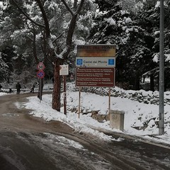 abbondante nevicata nella notte nella zona della Murgia andriese