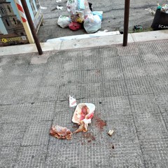 Abbandono dei rifiuti ad Andria