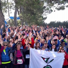 3^ edizione de "La Camminata tra gli olivi"