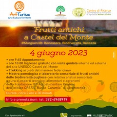 giugno MURGIAIN B