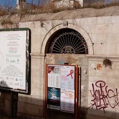 Pendio S. Lorenzo. La casa diroccata dove dimorano non solo ratti ma anche serpi ed insetti