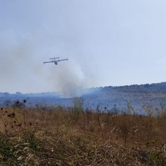 oltre 300 ettari vanno in fumo tra Minervino murge ed Andria
