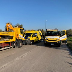 incidente stradale sulla provinciale Andria Bisceglie