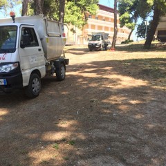 Ripulita la pineta della villa comunale: ma fino a quando sarà rispettata?
