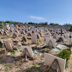 Campo 7 del Cimitero Comunale di Andria