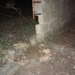 Tentativo di furto sventato dai vigilanti dell'IVRI