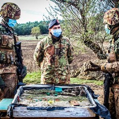Esercitazione della Brigata Meccanizzata “Pinerolo"