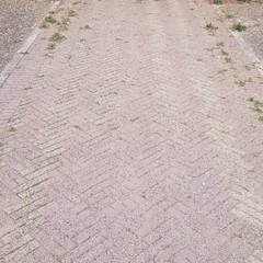Sanificato il parco urbano dedicato a Graziella Mansi