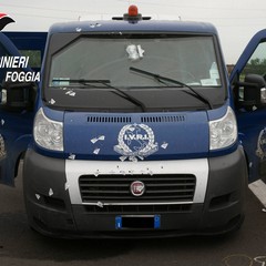 Assalto ai tir: arrestato dai Carabinieri di Cerignola pregiudicato andriese