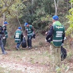 decine di bustoni di rifiuti vari raccolti nella pineta di Castel del Monte